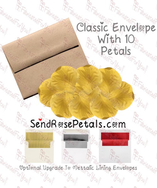 10 Silk Orange Rose Petals