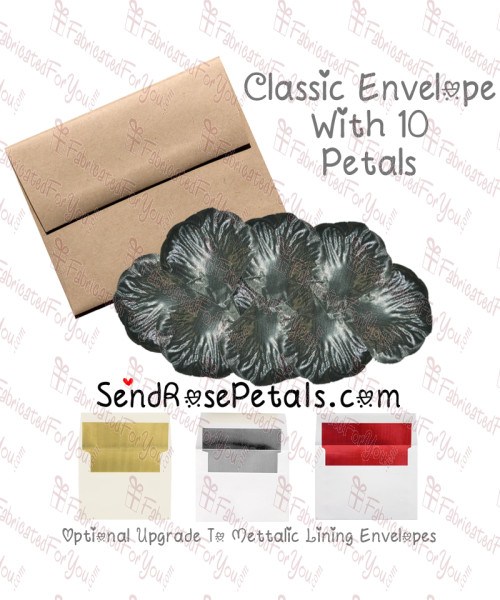 10 Silk Silver Rose Petals