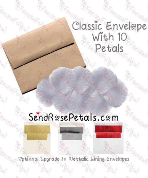 10 Silk White Rose Petals