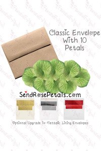 10 Silk Green Rose Petals