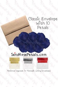 10 Silk Navy Blue Rose Petals