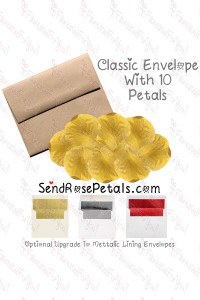 10 Silk Orange Rose Petals