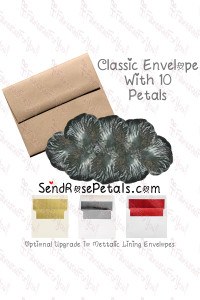 10 Silk Silver Rose Petals