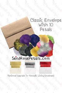 Choose your colors Rose Petals